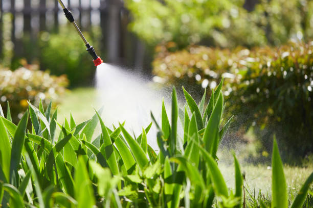 Tamper-Resistant Bait Stations for Rodents in Havelock