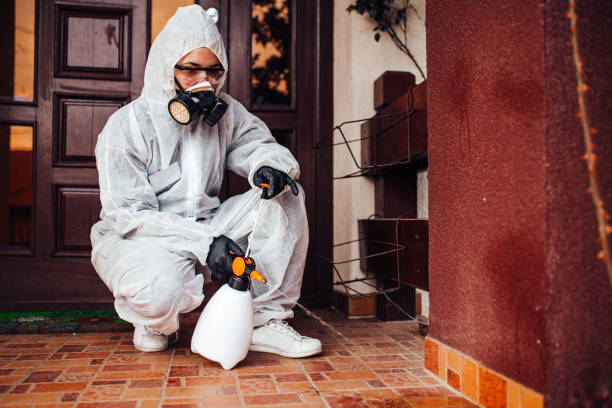 Attic and Crawl Space Rodent Treatment in Havelock